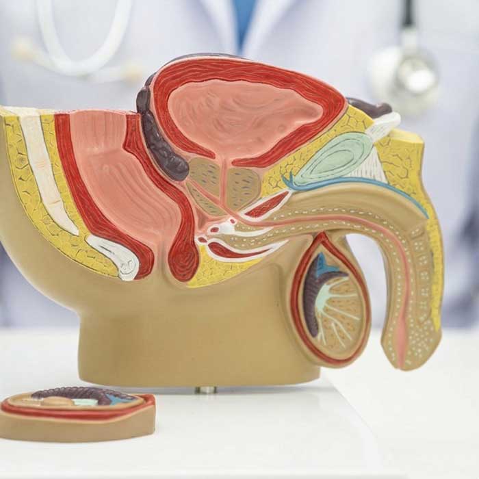 Why Choose Riverstone Urology